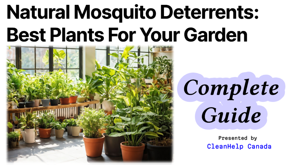 Mosquito-Repelling Plants